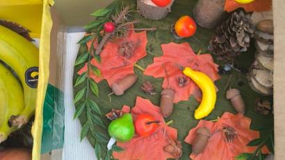 «Күзгі асар» жәрмеңкесі – адал еңбектің мерекесі! 